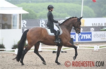 Nordic Rising Stars er fuldt belagt