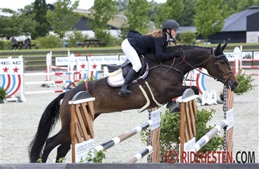 Ib Kirk har solgt unghest til Beerbaum