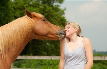 Ny forskning: Heste reagerer p&aring; dine f&oslash;lelser