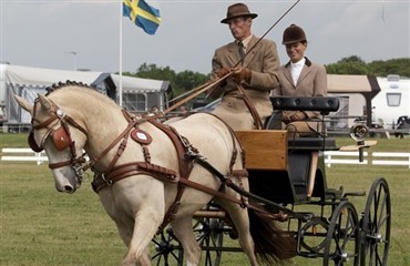 Danmarksmesterskaberne i k&oslash;rsel med hest og vogn