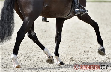 Formandsposter i DRF er nu besat