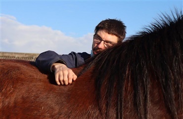 Mistede hest til kolik: Transport&oslash;r fandt en ny 