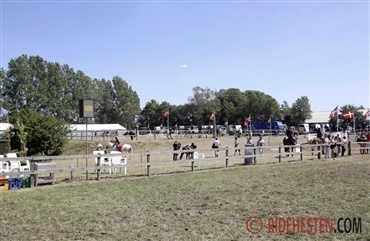 Skal du med til D4 HorseShow?