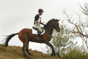 Malm&oslash; City Horse Show