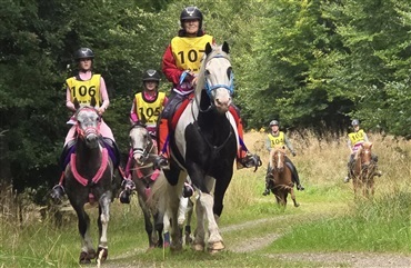 Kastaniegaarden &aring;bner d&oslash;ren til distance