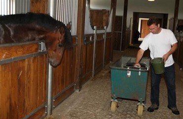 &Aring;bent hus med info om hesteuddannelser