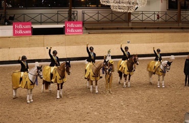 To gange guld til dansk pony ved svensk mesterskab