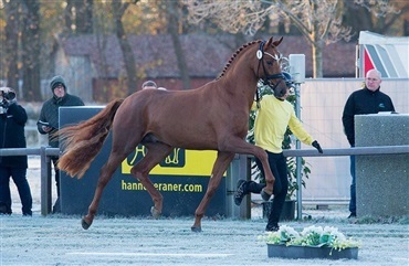 Klar til Verden l&oslash;rdag morgen