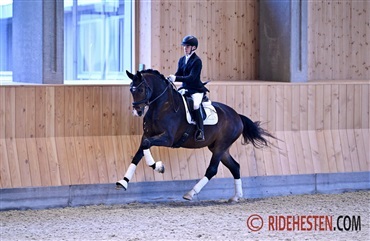 Ekstra egnethedstest i dressur