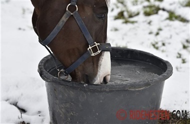 Har din hest vand p&aring; folden?