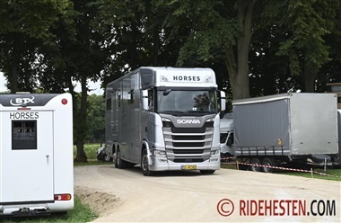 Transportklar hest – uden hestepas