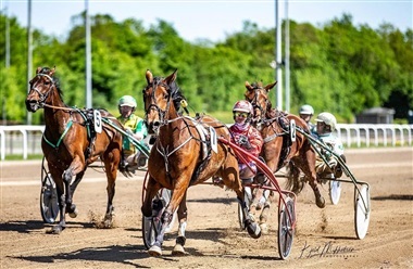 Aalborg Store Pris samler travsport og fest