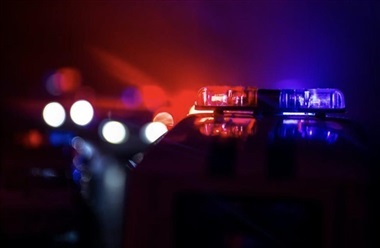 Bilist ramte hest p&aring; landevej – m&aring;tte aflives