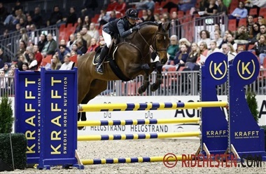 5-&aring;rs DV-hingst sprang sig til sejr