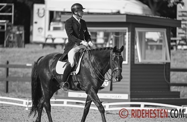 S&oslash;gaard og Vegas Volt bedst i Holte