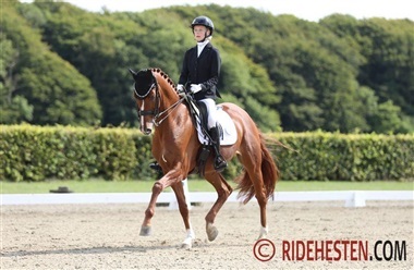 V&aelig;sentlig &aelig;ndring i DWB Amateur Cup