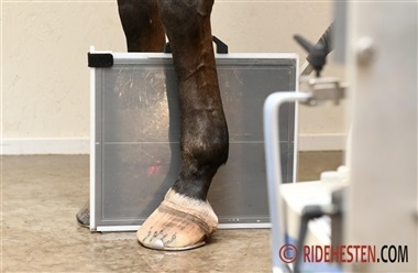 Dyrl&aelig;gepriser stiger hurtigere end inflationen – 47% siden 2020