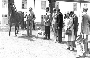 Da Marcon Nordfeld blev til Henrik