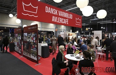 Bes&oslash;g Dansk Varmblods avlercafé i Herning