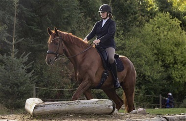 DM-vinder i Mountain Trail er mest sete salgshest