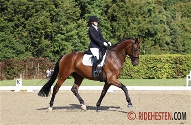 Rytter og avler klar til DWB Amateur Cup