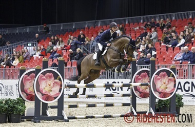 Fire 9-taller til f&oslash;rende hest i unghestechampionatet