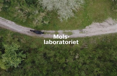 Hempel Fonden overtager Molslaboratoriet i dag