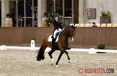 Danskerne sluttede med manér i Lier