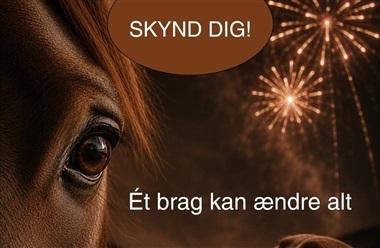 Borgerforslag for forbud mod fyrv&aelig;rkeri til private