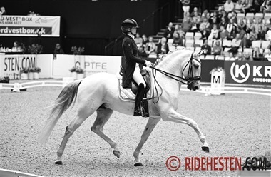 – 10 ting jeg hader ved top-ridesport