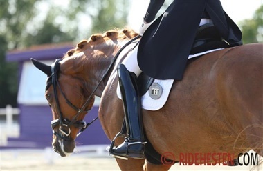 FEI overvejer Grand Prix p&aring; trense