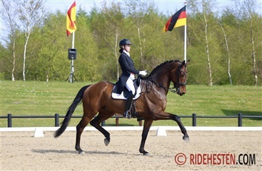 Internationale starter - uge 20