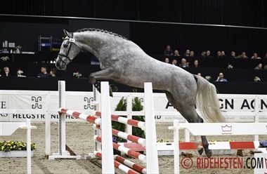 F&oslash;rste l&oslash;sspringningsdag i Herning