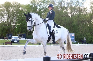 Aalborg Dressage Event er for alle