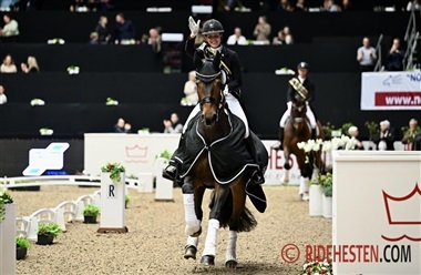 Internationale starter - uge 10