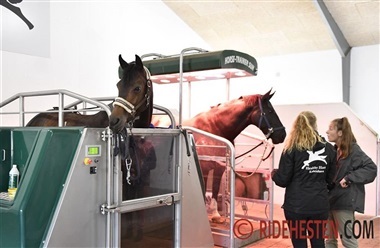 Healthy Horse fejrer 25-&aring;rs jubil&aelig;um