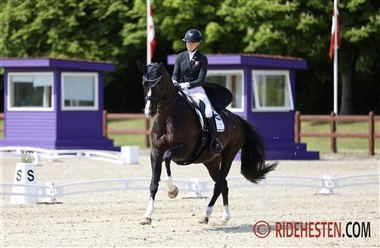 Internationale starter - uge 16