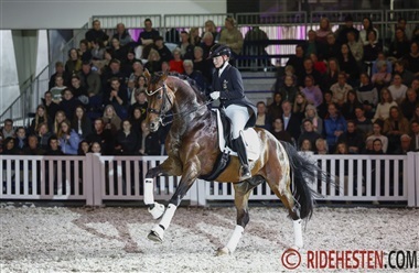 Unge hingste og st&aelig;rke profiler hos Helgstrand Dressage