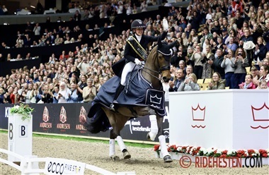 S&aelig;t kryds i kalenderen: DV's Hingstek&aring;ring 2027