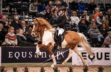 Icehorse festival: Stjerner f&oslash;des og mestre m&oslash;des