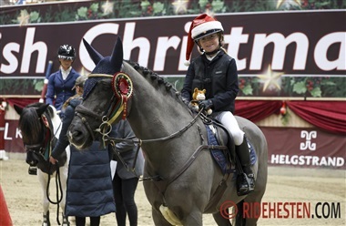 New Forest ponyer i topform ved CSWU