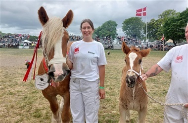 Har tinkeren sin egen fanklub i Roskilde?