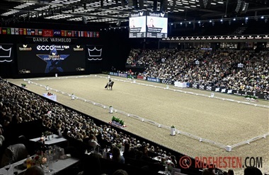 Hingstek&aring;ringen samlede 61.266 g&aelig;ster