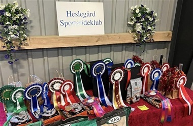 Ponylandsst&aelig;vne p&aring; Hesleg&aring;rd