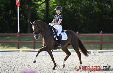 Tania Maria Joensen stopper i Aarhus Rideklub