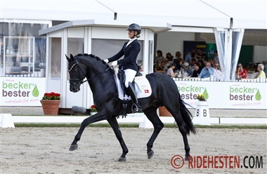 Tilmelding til UVM-udtagelse i dressur