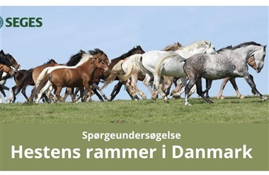 Hestens rammer i Danmark