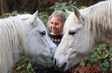 En rejse mod frihed, n&aelig;rv&aelig;r og mening
