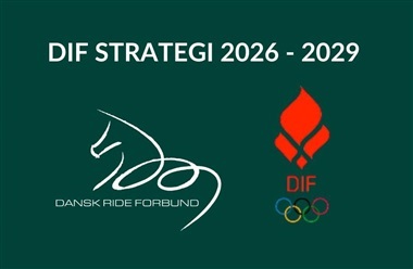 DRF igangs&aelig;tter arbejdet med DIF-strategi