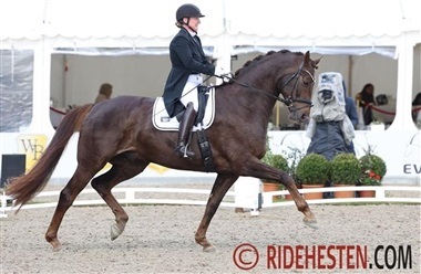 Fra DM til dr&oslash;mmen om PL